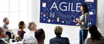 Agile Agility Nimble Quick Fast Volant Concept